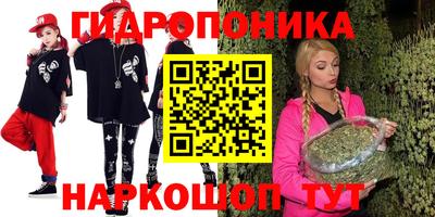 jwh Бийск