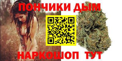 jwh Бийск