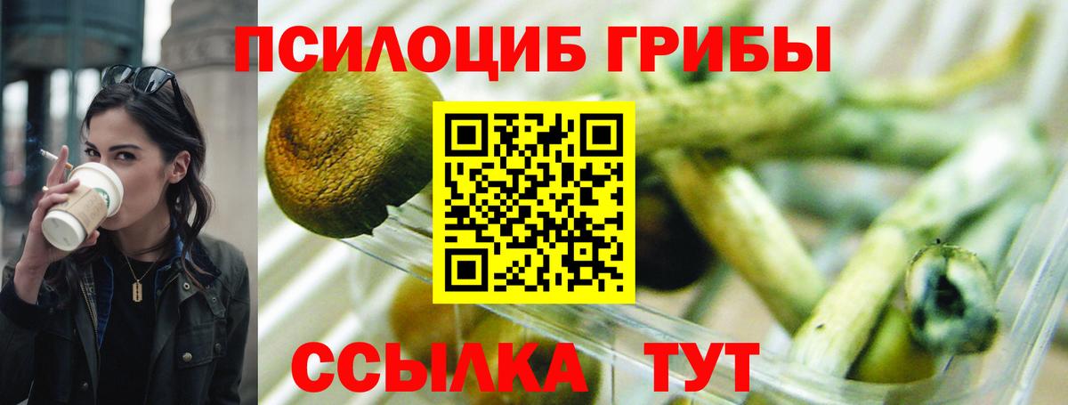Галлюциногенные грибы мухоморы  Вход с VPN  Галлюциногенные грибы Psilocybe  Ивантеевка 