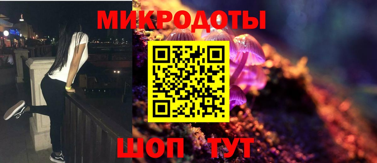 Псилоцибиновые грибы мицелий Ивантеевка